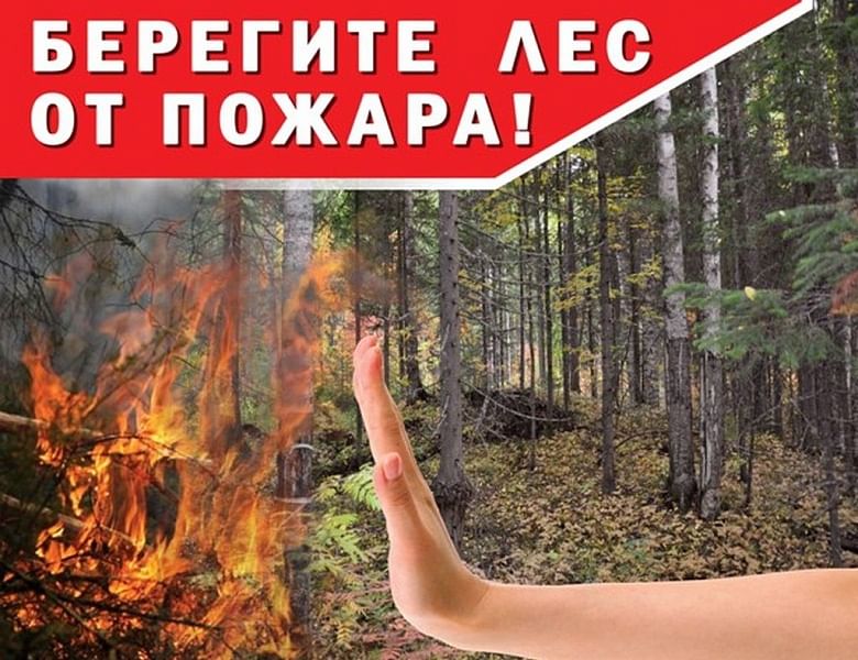 Берегите лес от огня.